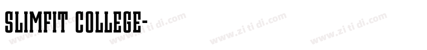 Slimfit College字体转换